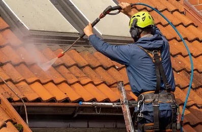 Démoussage et hydrofuge de toiture à Cousance